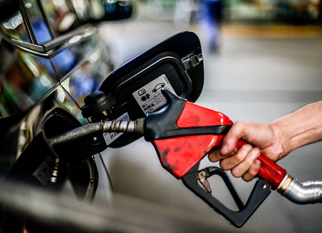 No Brasil, sua principal função é servir como matéria-prima para o biodiesel, por meio da transesterificação.