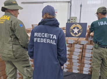 Dezenove toneladas de ovas da espécie peixe-voador foram apreendidas no Porto do Pecém, no município de São Gonçalo do Amarante, nessa terça-feira, 30
 