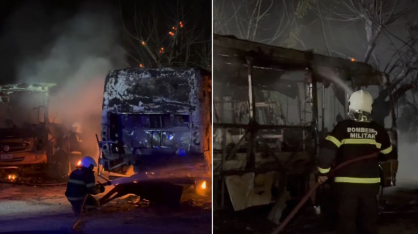 Apesar das perdas, não houver feridos