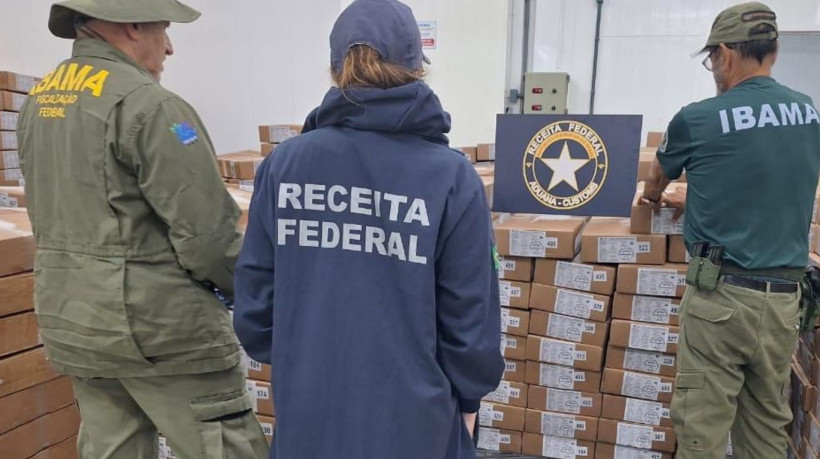 Dezenove toneladas de ovas da espécie peixe-voador foram apreendidas no Porto do Pecém, no município de São Gonçalo do Amarante, nessa terça-feira, 30
