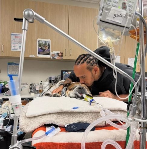 O próprio Hamilton deu a notícia no dia 26 de setembro, pelas redes sociais. “Eles conseguiram recuperar o batimento cardíaco e agora ele está em coma. Não sabemos se ele vai acordar disto, tinha dito ele.