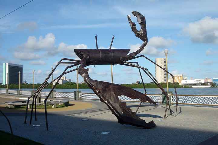 O caranguejo, animal típico do mangue, e uma antena parabólica enfiada na lama, representando a junção entre o regional e o tecnológico, são símbolos do movimento.