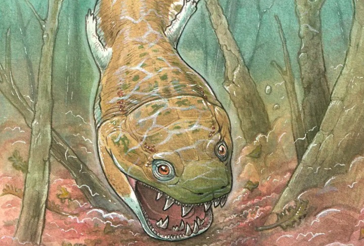 Os estudos revelaram que essa salamandra vivia em pântanos e lagos, tinha uma cabeça larga e achatada, além de dentes grandes e afiados.