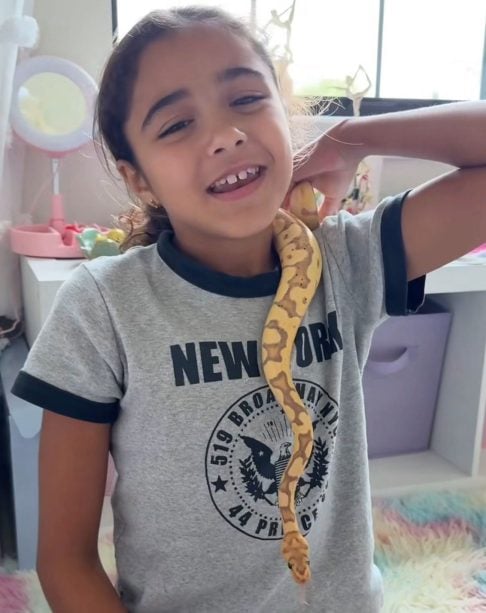 A paixão retornou em 2017, quando sua filha mais velha ganhou uma nova cobra-do-milho.