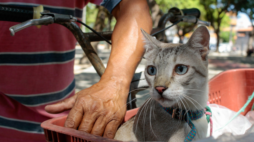 FORTALEZA, CEARÁ, BRASIL,16-09-2025: Silvio, acompanhado do gato Valente em DIA D Campanha com expectativa de imunizar 400 mil animais Vacinação Antirrábica no Polo de Lazer da Sargento Hermínio. (Foto: Samuel Setubal/ O Povo)