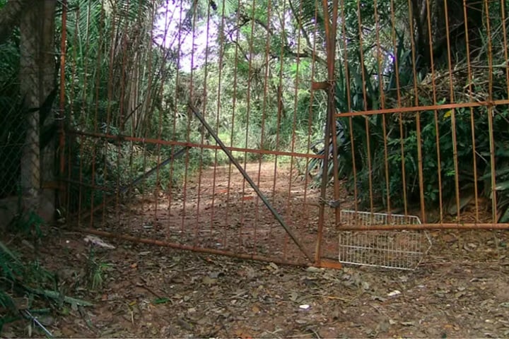 Os eventos sobrenaturais teriam se intensificado há cerca de 10 anos, após a morte do patriarca de uma família e da matriarca da outra.