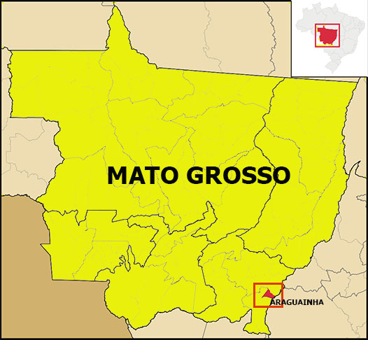 A área teve colonização de garimpeiros na década de 1940 e recebeu o nome em homenagem ao Rio Araguainha, que banha a região. O distrito se destaca pela rica e diversificada vegetação nativa e pelas belas cachoeiras. A localidade é cercada por montanhas e serras .