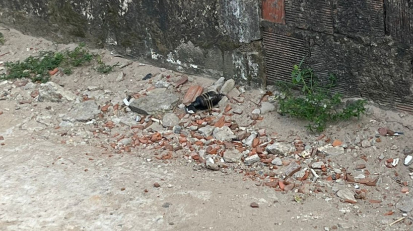 Granadas são localizadas em residência no bairro Boa Vista, em Fortaleza