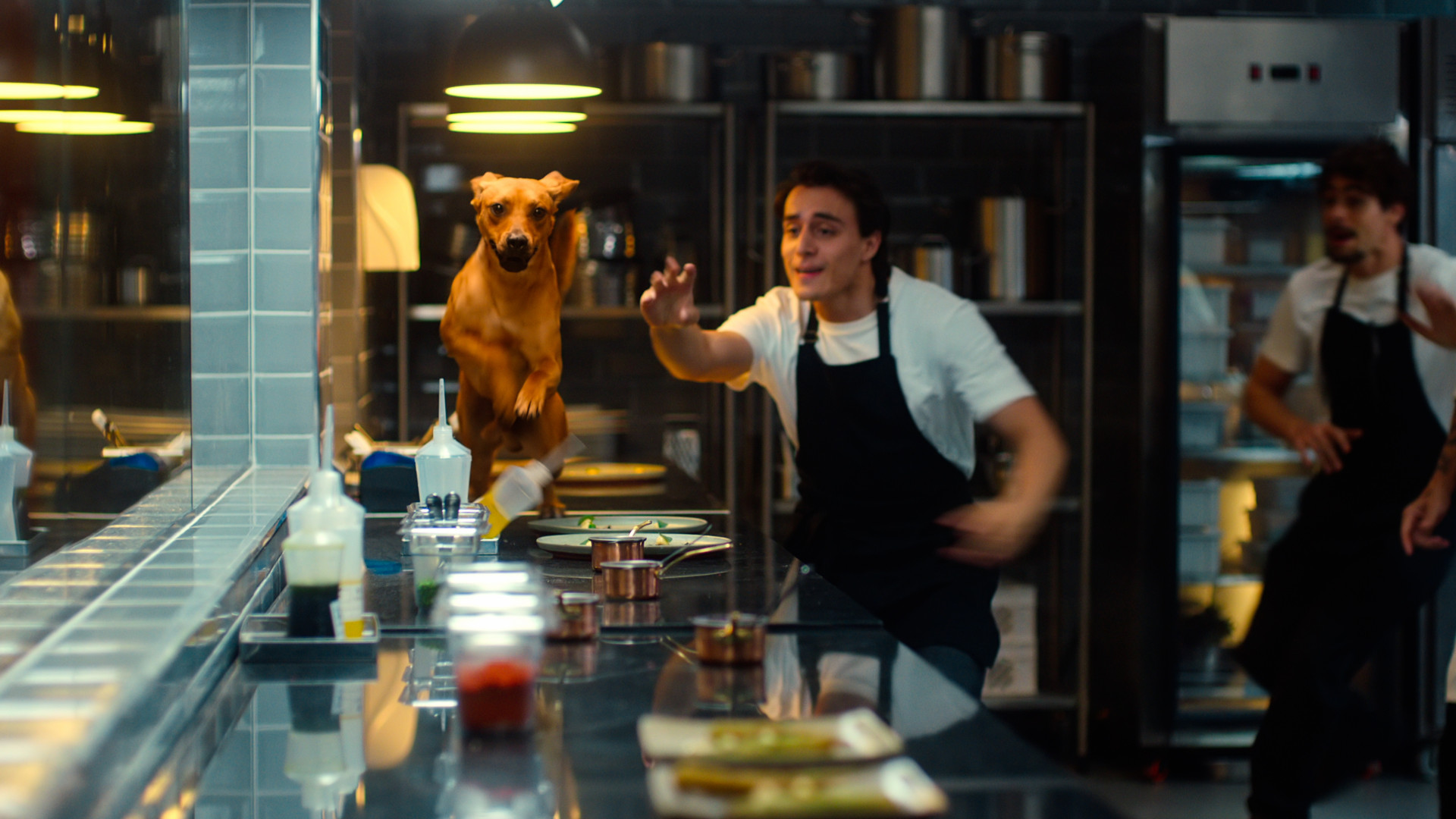 Novo filme da Netflix, "Caramelo" destaca a relação entre um vira-lata e seu tutor, o chef de cozinha Pedro (Rafael Vitti)