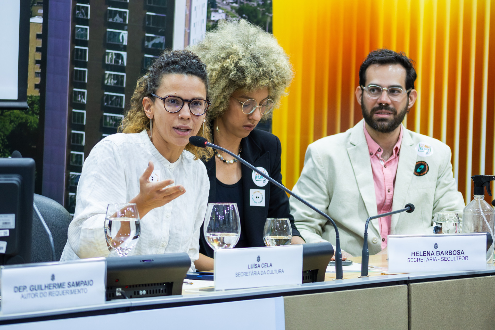 Luisa Cela discursa  - Audiência Pública sobre Ceará Filmes na Assembleia Legislativa do Ceará - 03.09.2025. (Foto: Divulgação/Flávia Almeida)