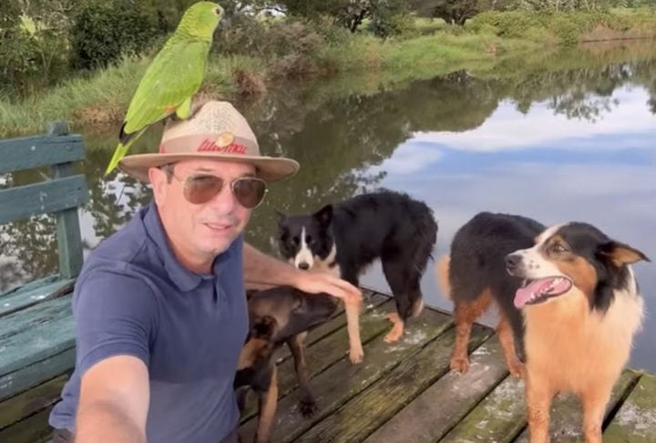 Meses depois de se curar de um câncer, o influenciador João Dias de Almeida morreu em um acidente na Rodovia Francisco Alves Negrão, em Itapeva, São Paulo.