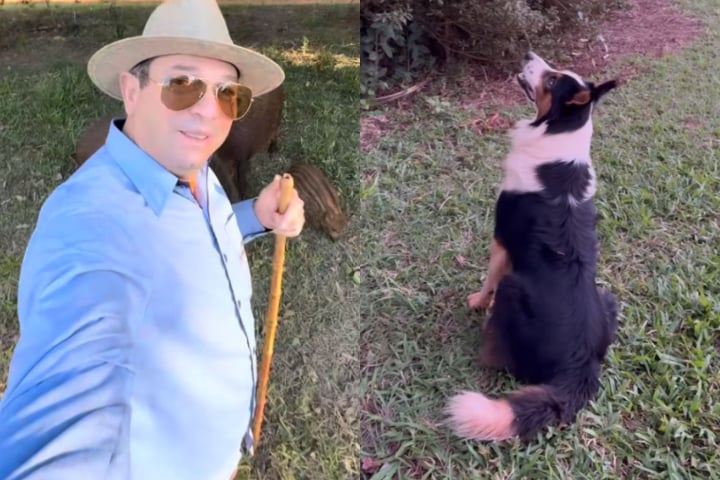 Ele começou a vida de influenciador em 2020, quando passou a postar vídeos com seu cão Jack, um border collie de sete anos.