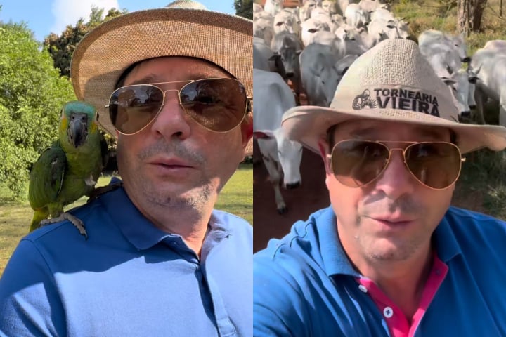 Não estou precisando de dinheiro [...] Para eu ganhar dinheiro, alguém vai ter que perder. Eu tenho compromisso com os meus seguidores, declarou ao g1 em junho.