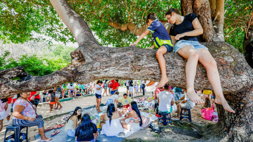 Parque do Coc&oacute; ter&aacute; apresenta&ccedil;&atilde;o de reisado no primeiro domingo de 2026.
