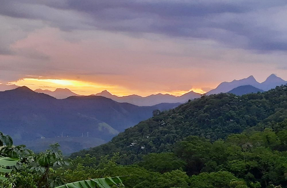 O Jequitibá-rosa está situado a 1 quilômetro dentro da mata, em uma área preservada do parque, a 200 metros de altitude. A localização em uma área de difícil acesso contribuiu para sua proteção ao longo dos séculos. O isolamento natural, aliás, reforça seu valor ecológico e histórico.

