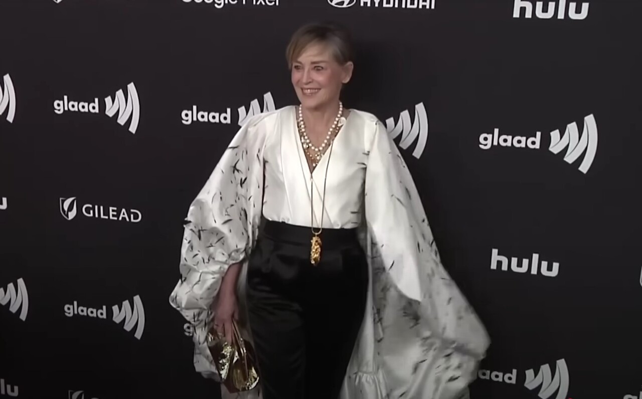 Sharon Stone sempre enfrentou problemas de saúde ao longo da vida. Em 29 de setembro de 2001, foi internada em São Francisco após desmaiar, com dores de cabeça persistentes. Posteriormente, foi diagnosticada com um aneurisma cerebral.