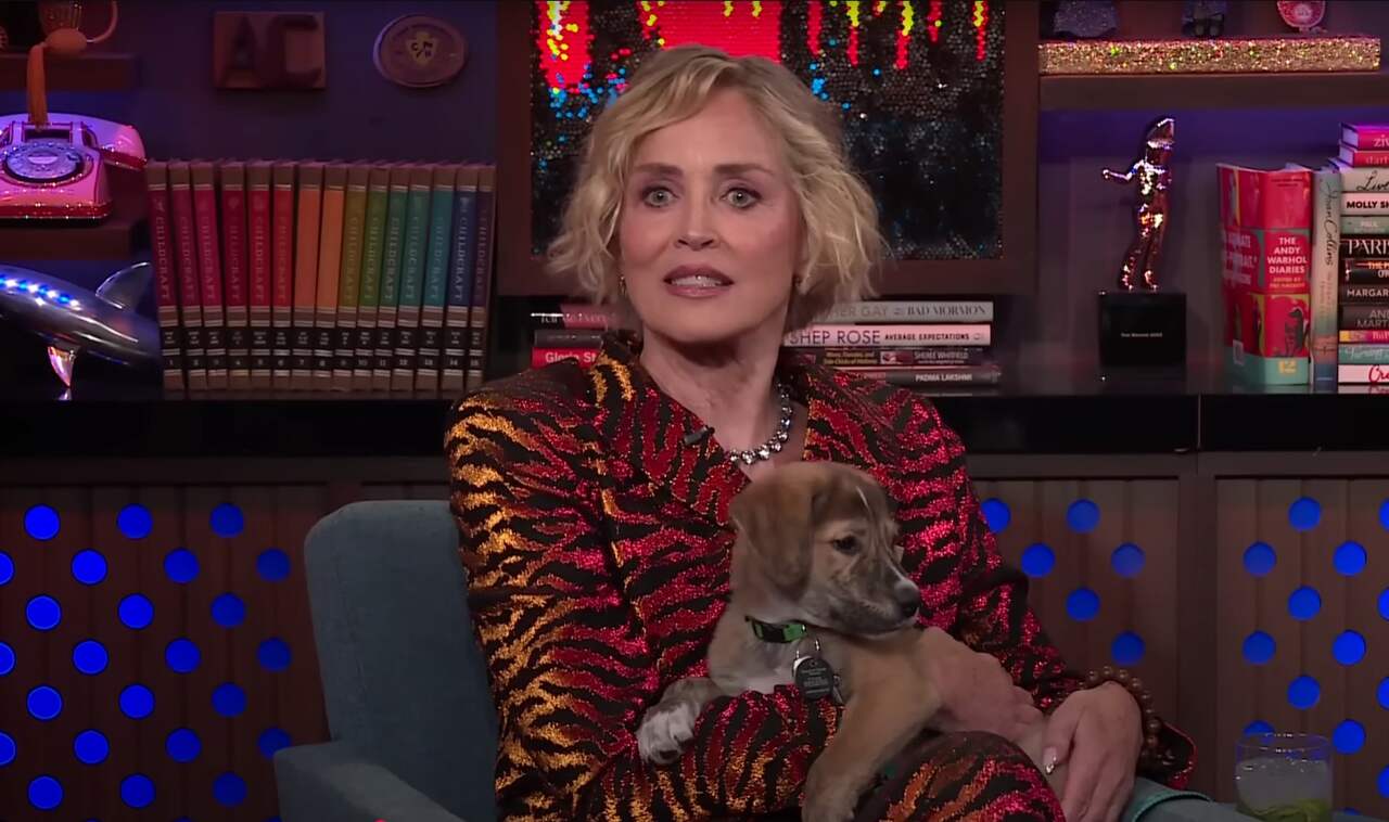 Segundo o site norte-americano 'RadarOnline', Stone relatou que seu telefone parou completamente de tocar após sua indicação ao Oscar em 1996.


 