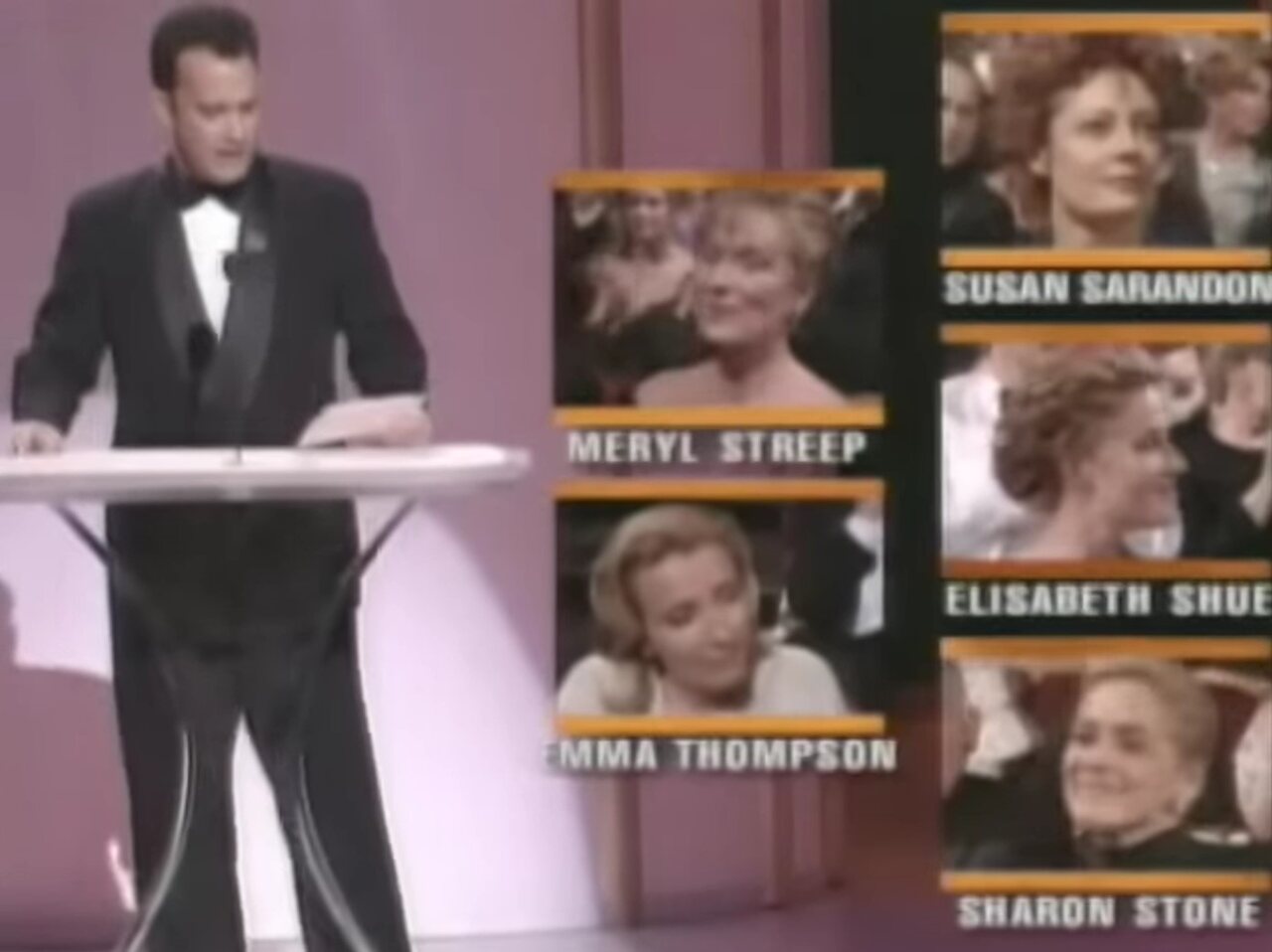 O troféu de Melhor Atriz de 1996  foi concedido a Susan Sarandon por sua atuação marcante em Os Últimos Passos de um Homem (1995). Assim, desbancou Stone, indicada por Cassino.