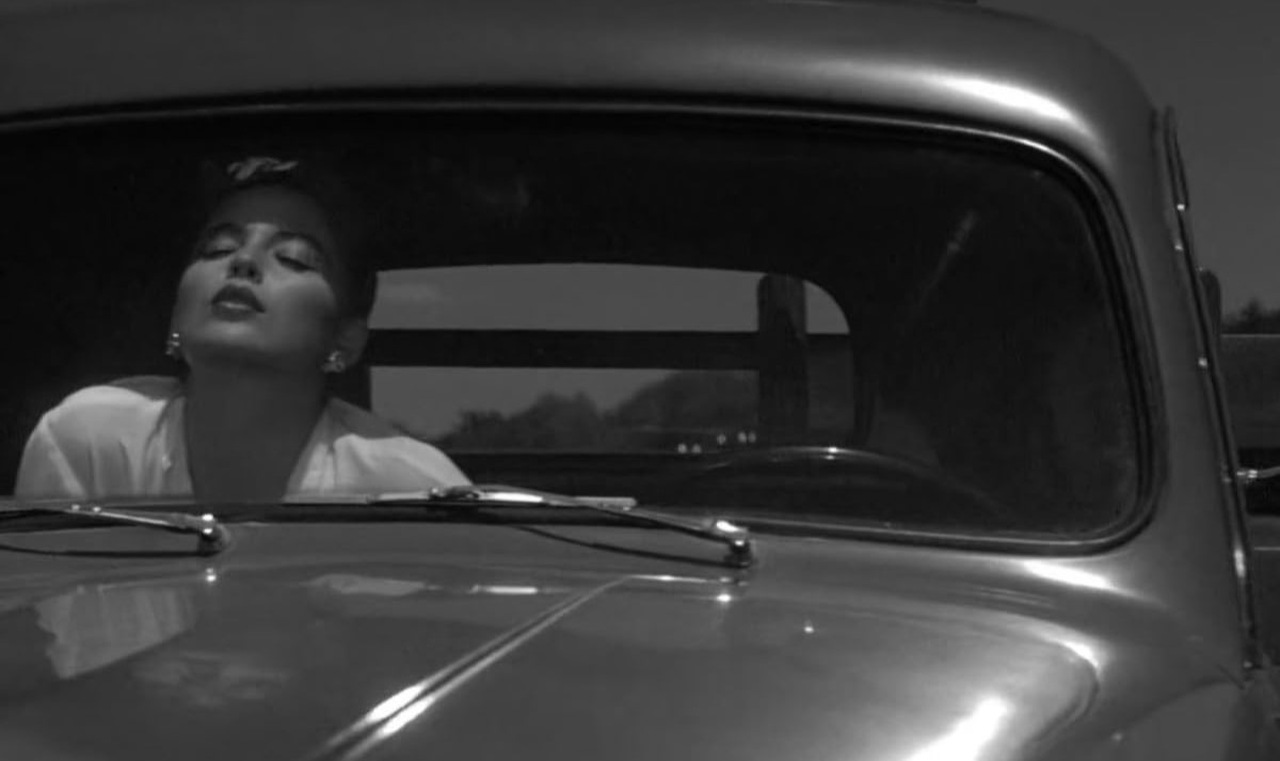 Após um ano atuando em peças de teatro, Sharon Stone fez sua estreia no cinema em 1980 no filme Stardust Memories, dirigido por Woody Allen. Esse papel marcou o início de sua carreira nas telonas.