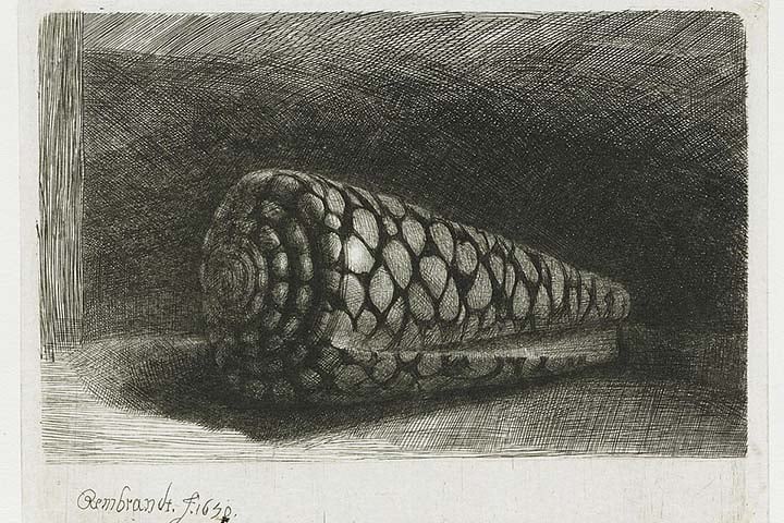 Segundo o diretor artístico da exposição, Marcelo Lages, a proposta foi criar um ambiente que aproximasse o visitante da experiência visual concebida pelo artista.
