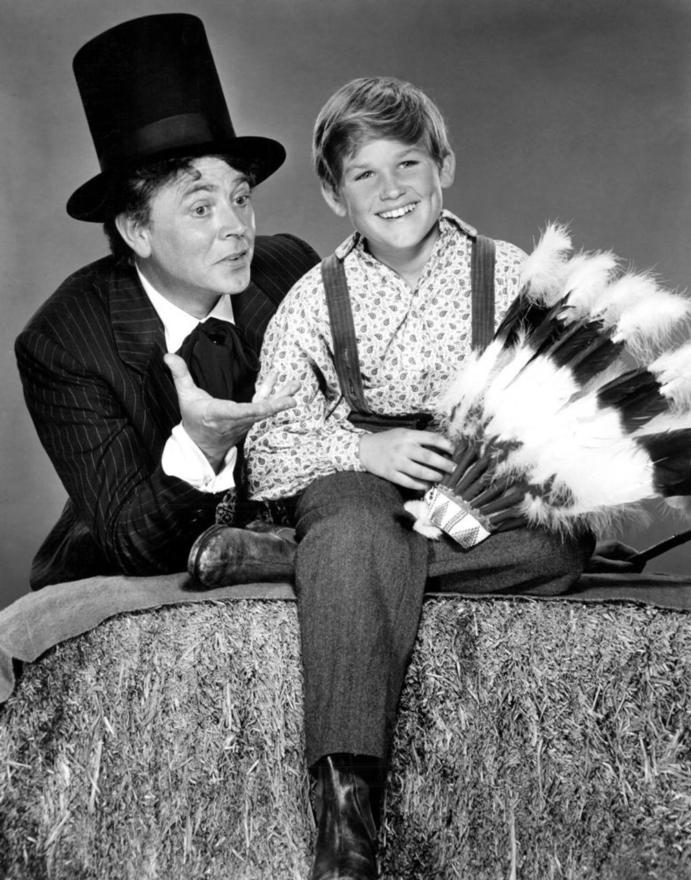 Em 1963, ele estrelou a série de televisão As Viagens de Jaimie McPheeters.