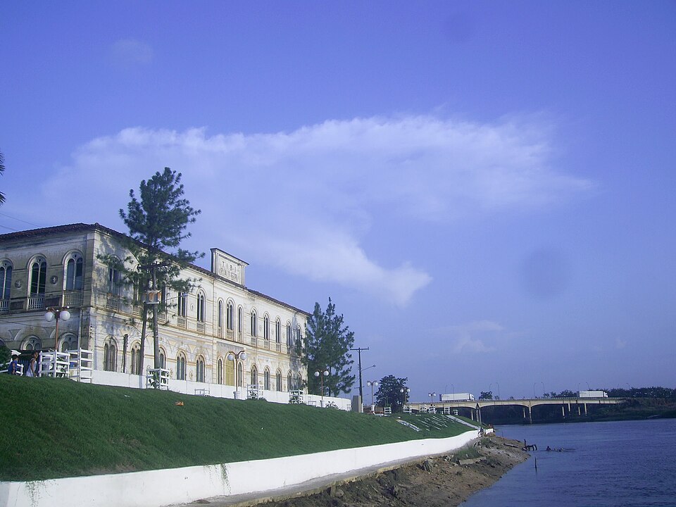 Um pitbull só parou de atacar um outro cachorro na cidade de São Miguel do Guamá, no Pará, quando recebeu golpes na cabeça.