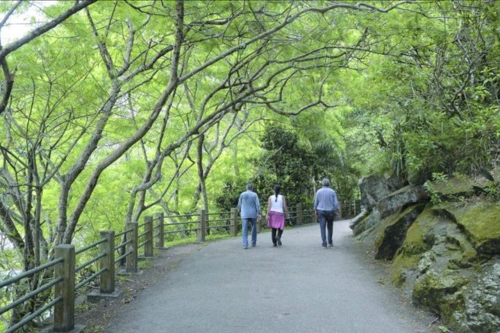 O trajeto é bem sinalizado, tem dificuldade leve a moderada e costuma levar entre 30 e 50 minutos.