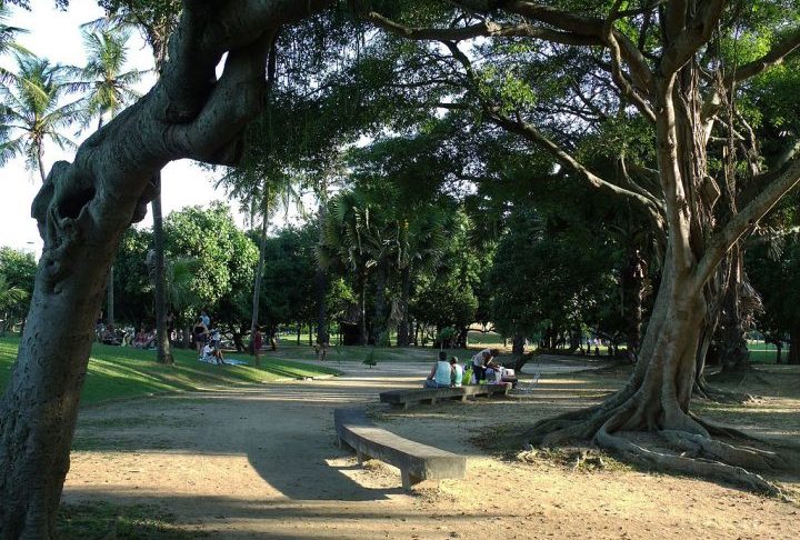 Antônio iniciou o passeio pelo Aterro do Flamengo, por volta das 4 da tarde. Cerca de uma hora e meia depois, o sistema indicou que ele havia chegado à trilha do Morro da Urca, mas, em seguida, o sinal foi interrompido.