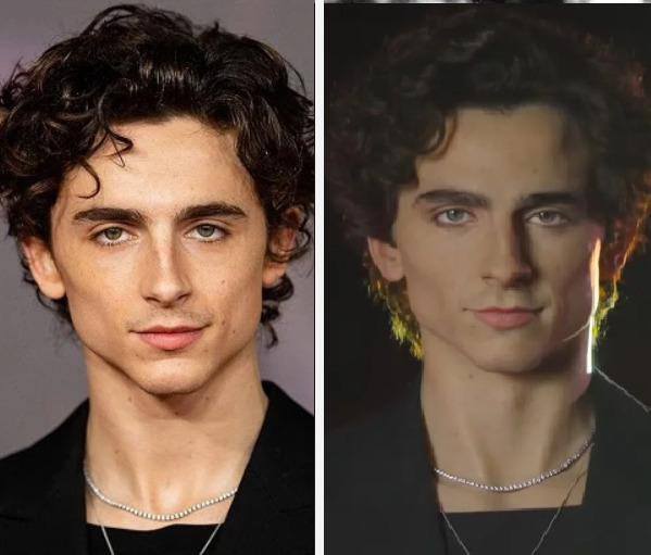 Curiosidade: o Museu Madame Tussauds, em Londres, inaugurou uma estátua de cera de Chalamet em maio de 2024.