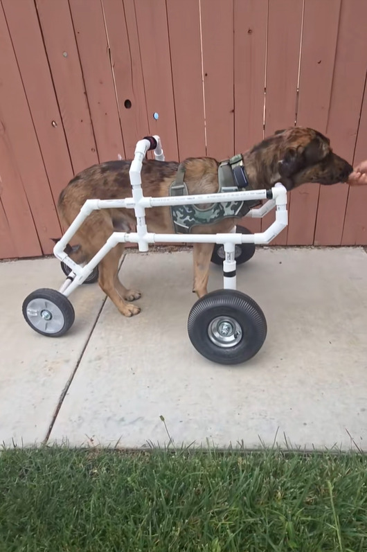 Os funcionários ajustaram o design e usaram as próprias ferramentas para construir o modelo.