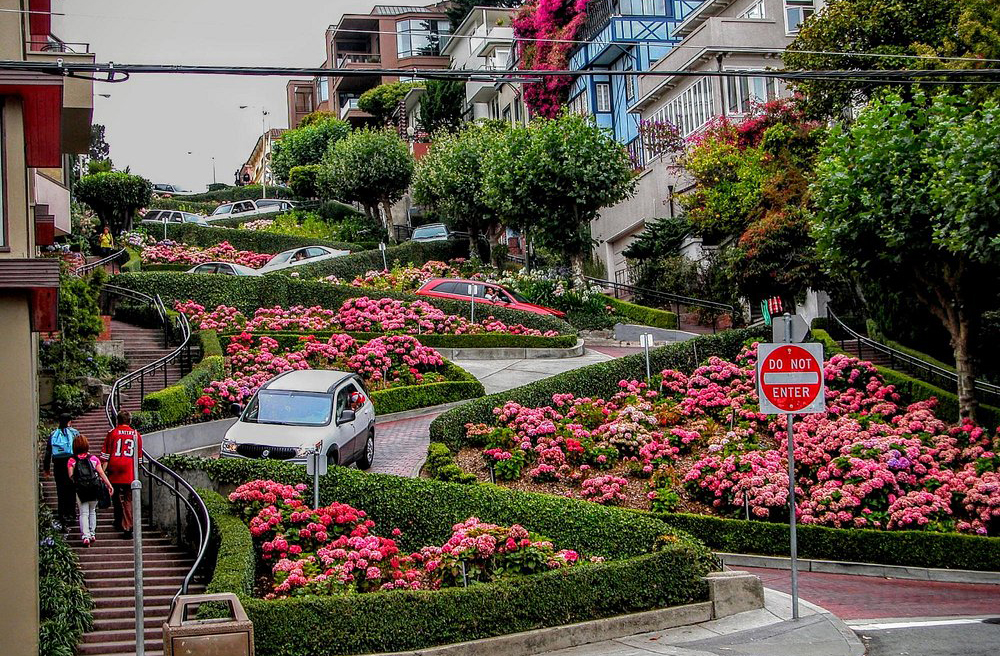 A cidade atrai milhões de visitantes todos os anos, encantados por sua mistura única de paisagens e cultura. Ícones como a Golden Gate Bridge, Alcatraz, Pier 39 e a sinuosa Lombard Street fazem parte do roteiro imperdível da cidade.