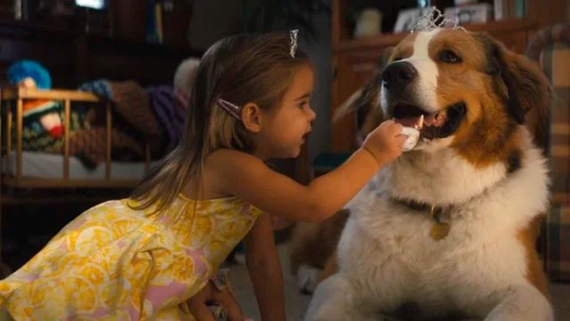 Juntos para Sempre (2019) 