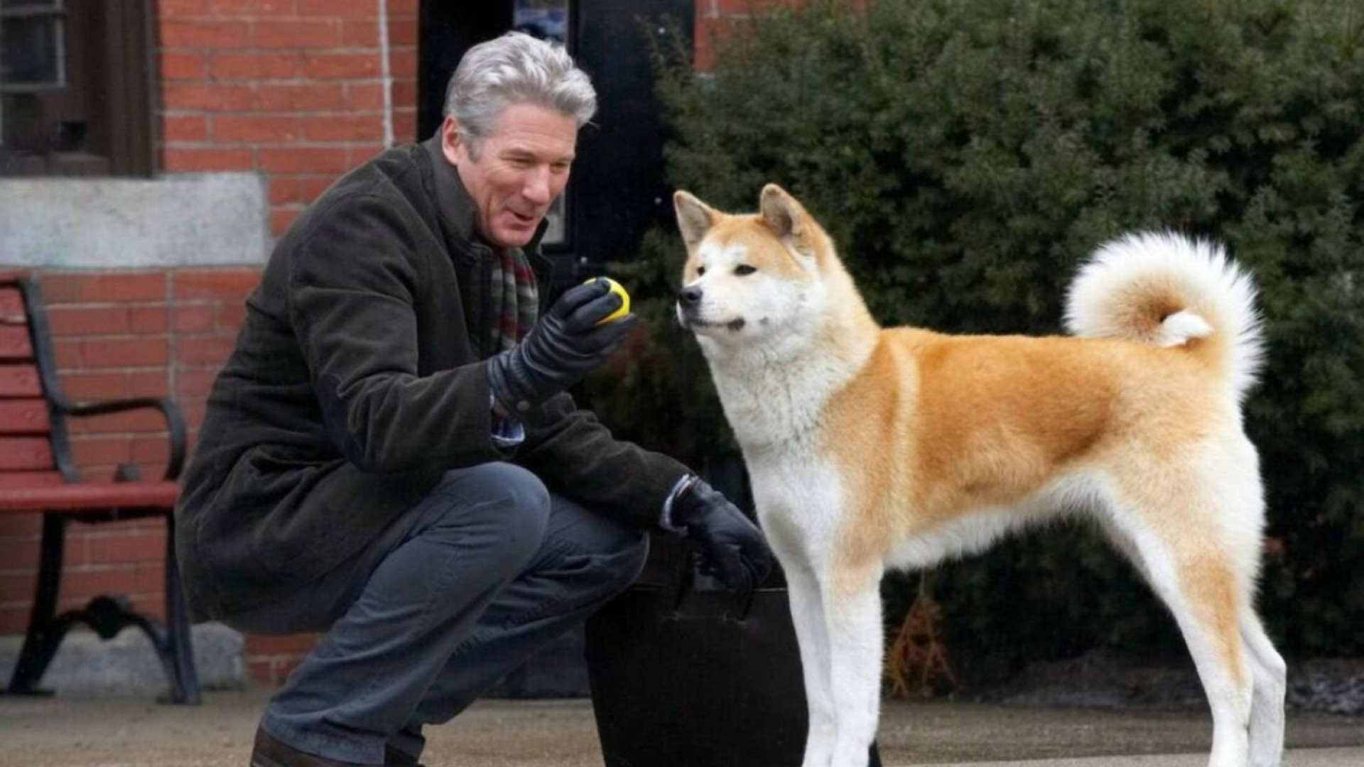 Sempre ao Seu Lado (2009) 