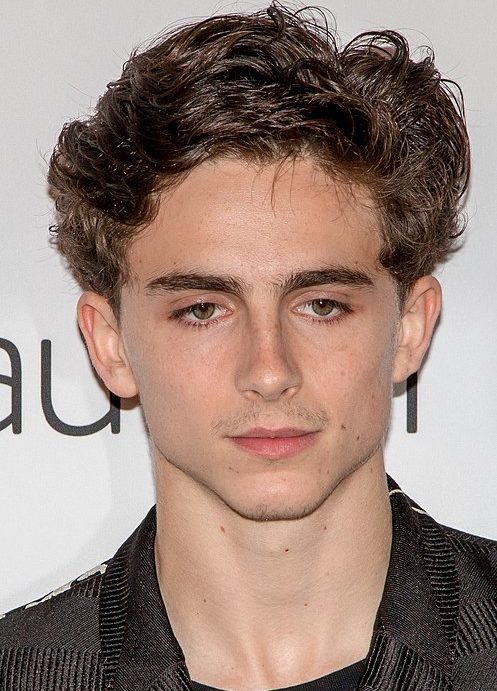 Timothée Chalamet está em plena campanha por uma nova indicação ao Oscar de Melhor Ator em 2026 pela sua atuação em 