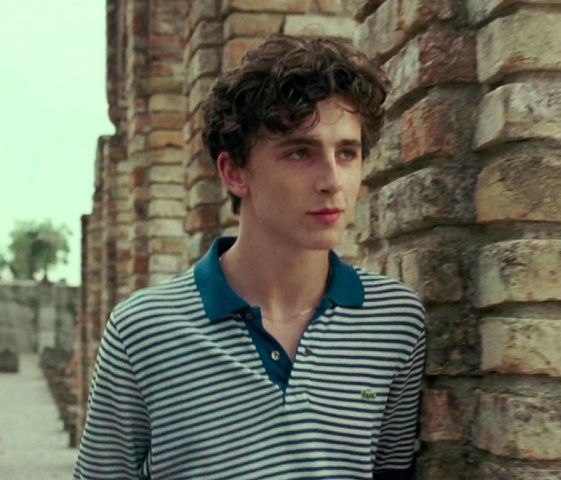 Mas foi em 2017 que o ator explodiu de vez ao interpretar o personagem Elio no filme Me Chame Pelo Seu Nome. 
