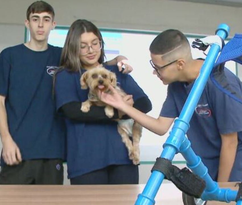 A nova tutora, então, apresentou o caso aos alunos do curso de mecânica do Cedup. E Will se tornou o xodó do grupo. 