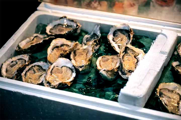 Essa habilidade das ostras contribui significativamente para a qualidade dos ecossistemas aquáticos.