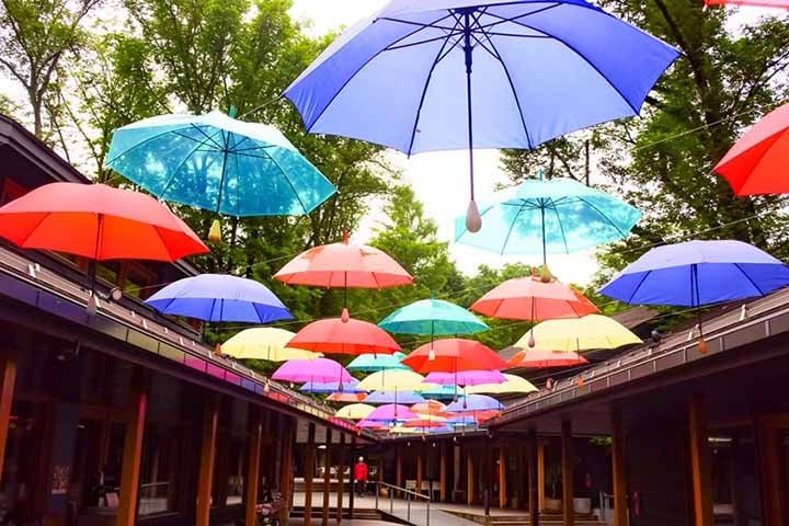 O guarda-chuva chegou à Europa através das rotas comerciais, inicialmente vindo da Ásia e do Egito com o propósito de proteger do sol. Este objeto só se popularizou como proteção contra a chuva no século XVIII, sobretudo com o inglês Jonas Hanway.