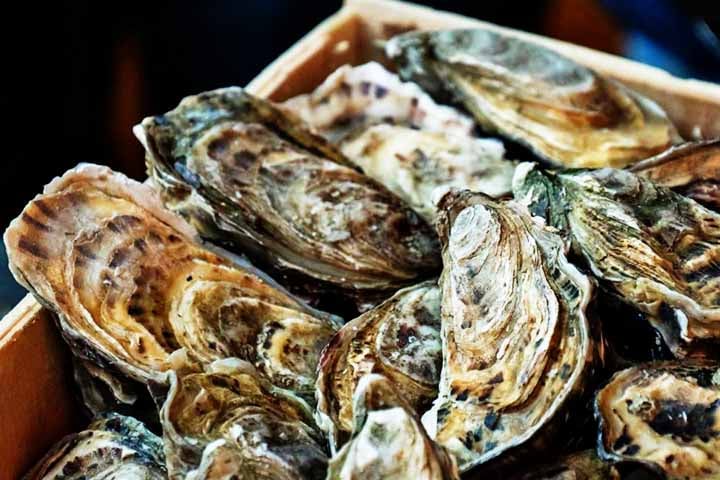 A contaminação está associada à poluição costeira por esgoto doméstico, hospitalar, resíduos industriais e agrotóxicos. 