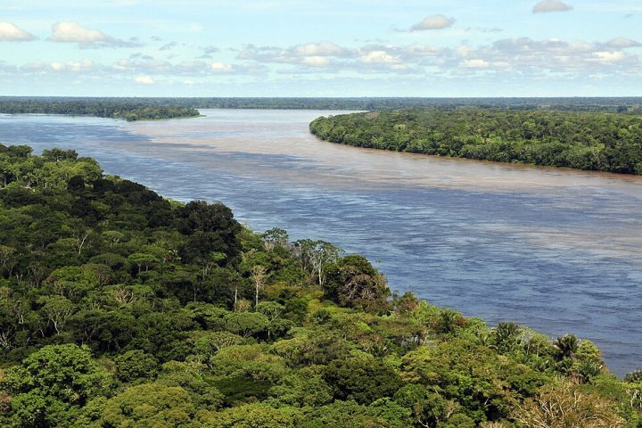 Descoberto em 2010, o rio Hamza percorre os estados do Amazonas, Amapá e Pará, desaguando no Atlântico.