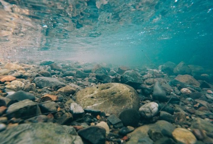 Além disso, há divergências sobre se suas águas são doces ou salgadas, o que afetaria sua interação com o ecossistema amazônico e o Oceano Atlântico.