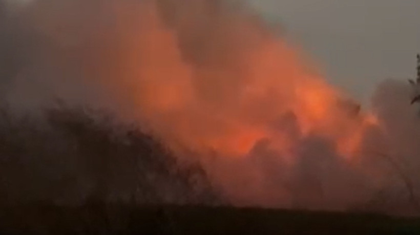 Um incêndio foi registrado em área de vegetação nas proximidades do Rio Cocó, em Fortaleza