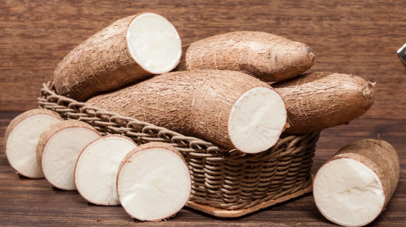 10 motivos para adicionar a mandioca à dieta
