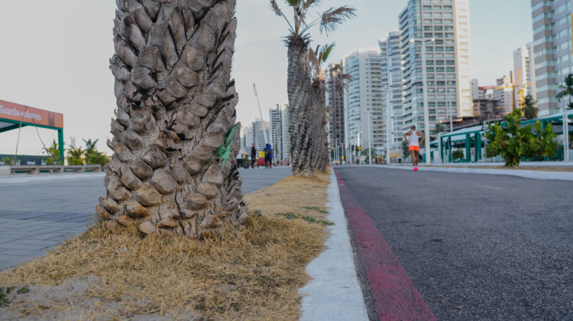 Falta de manutenção do meio fio da orla da Beira Mar, com árvores e gramas secas