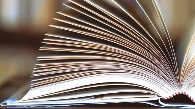 Rubem Braga teria abrasileirado a crônica na década de 1930