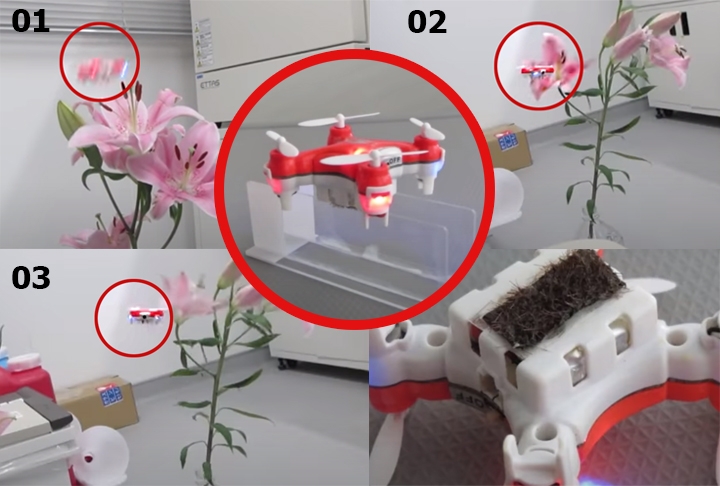 No Japão, em 2017, pesquisadores criaram um drone para substituir a abelha na polinização cruzada.