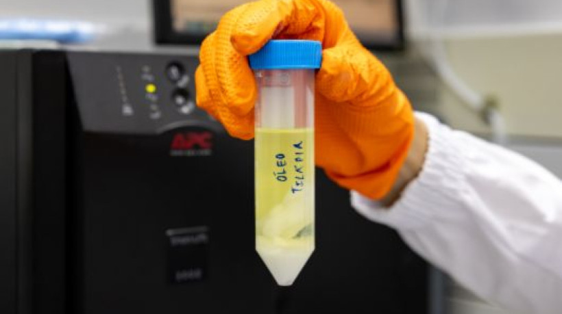 O desenvolvimento do produto foi o tema da tese de doutorado de Camila Peixoto, no Programa de Pós-Graduação em Química da UFC, sob orientação da professora Nágila Ricardo