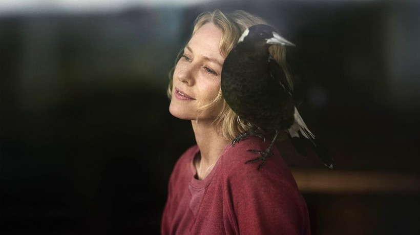 Um filme de drama vai passar na Sessão da Tarde hoje, quarta,22 de outubro de 2025 (22/10/2025) às 15h40min (horário de Brasília), na TV Globo