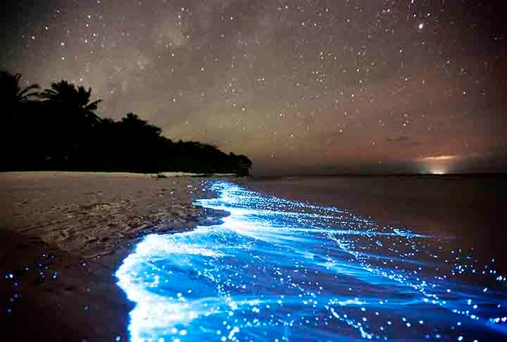 Ilha Vaadhoo - Ilha das Maldivas, no Oceano Índico, é conhecida pelo fenômeno bioluminescente causado por plânctons Mar de Estrelas. 