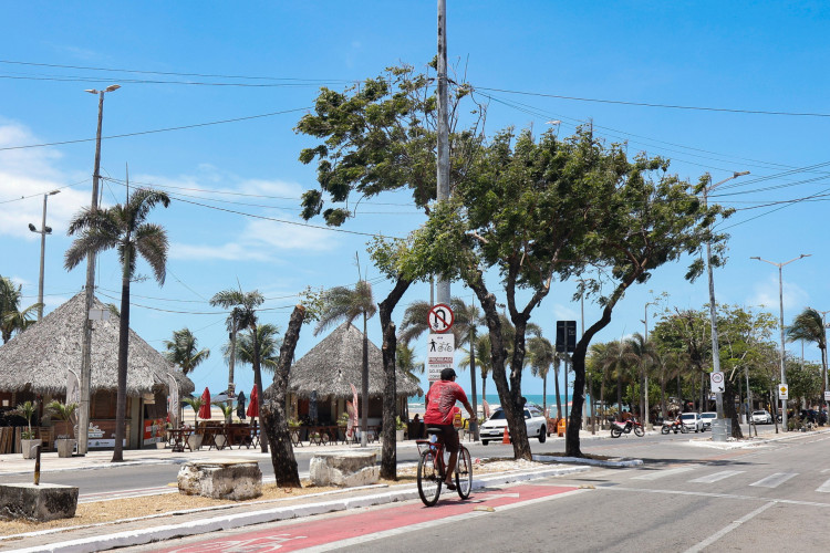 Poda de árvores irregular na Av. Radialista José Lima Verde, Barra do Ceará  Poda de árvores irregular na Av. Radialista José Lima Verde, Barra do Ceará